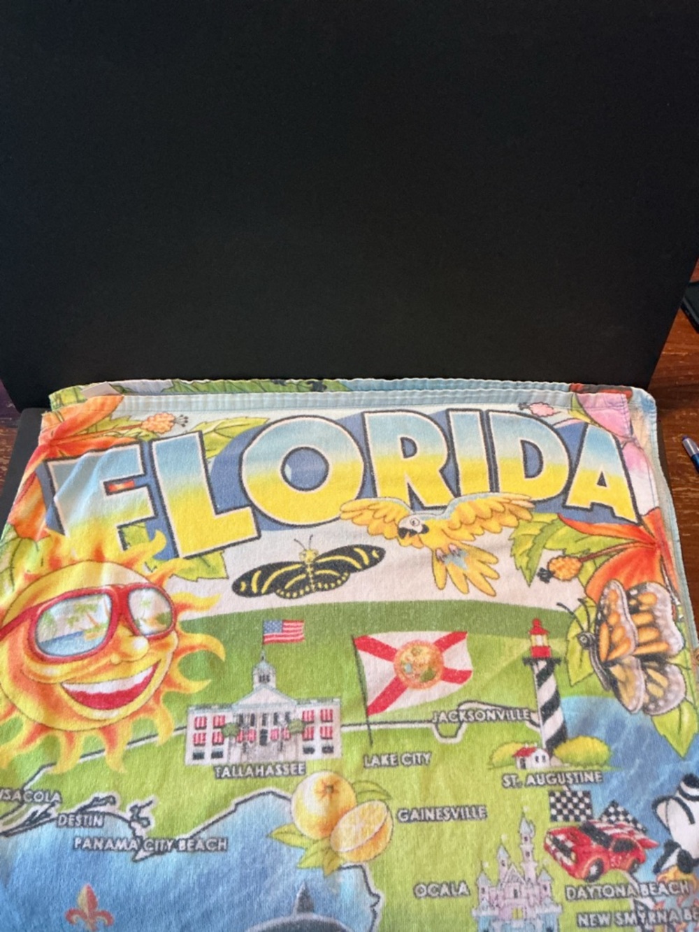 Source Unknown Florida Multicolor Souvenir Beach Towel